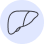 liver